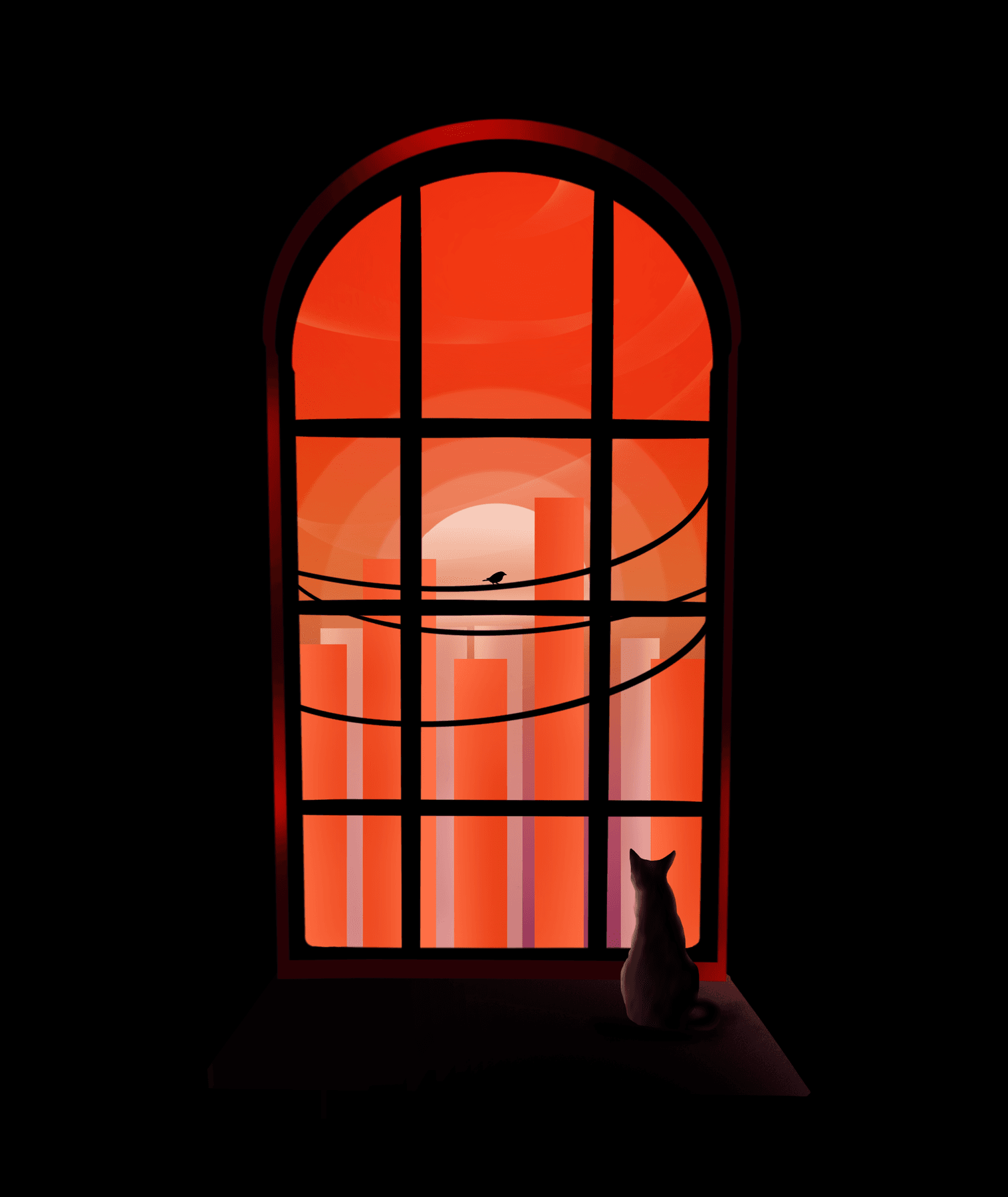 Cat at window